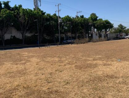 Terreno en Renta en Nuevo México